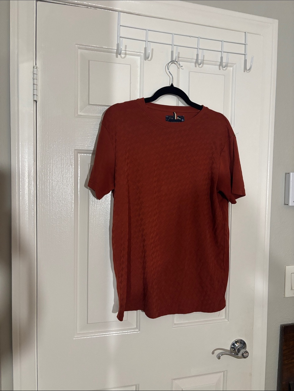 Cactus Men's Short-Sleeve Tee in Rust Brown